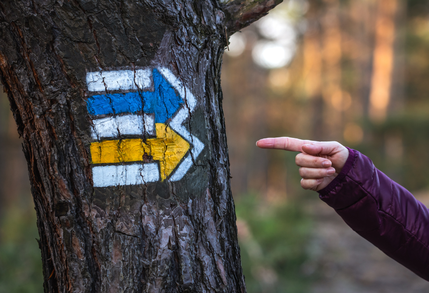 Co dělat, když se ztratíš: krizové scénáře a jak si poradit