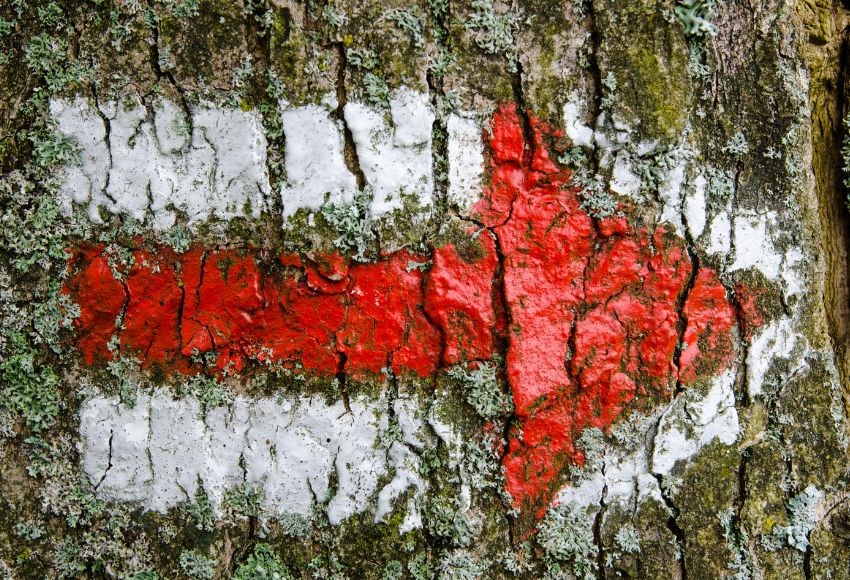 Jak vznikají turistické trasy: Kdo je značí, udržuje a co znamenají barvy