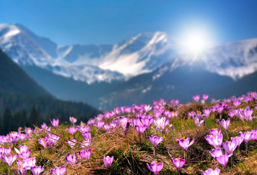 Jaro v horách: Kdy (ne)začínat sezónu a proč není sníh jako sníh