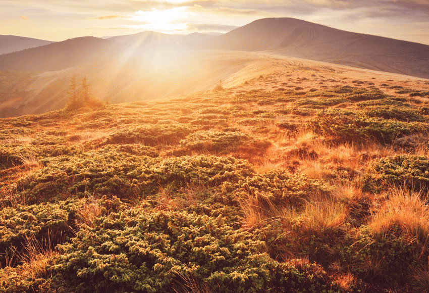 Top 10: Karpaty
